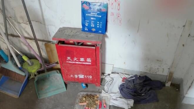 独居老人去世后宠物狗留守楼道"无人照料"如何安置?