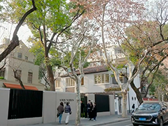 品牌酒店入驻武康路 全球潮牌竞相首秀"梧桐区"