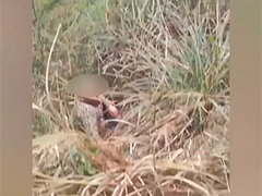 吃完喜酒忘了回家路 老人误入深山46小时