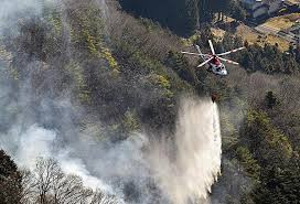 日本多地燃起山火 强风阻碍灭火
