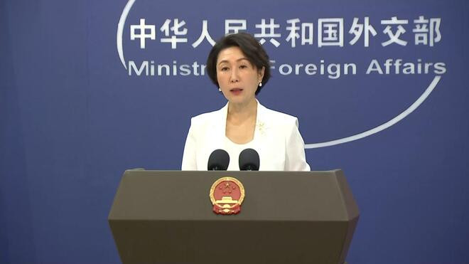 外交部发言人 毛宁 一个中国原则是中非关系的政治基础