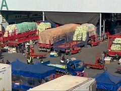 日均供菜6000吨 上海蔬菜批发市场确保"菜篮子"无忧