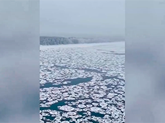 波兰最长河流维斯图拉河现罕见"饼状冰"奇观