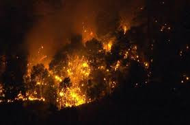 日本山梨县山火已持续7天 仍在蔓延