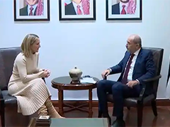 约旦副首相兼外交大臣会见爱尔兰外交贸易部长 双方强调必须确保加沙停火协议得到落实