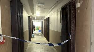 香港乐华南邨发生一起谋杀案 男疑凶被控谋杀 或因感情纠纷向女友施袭