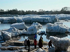 德国易北河现巨型冰块堆积奇观