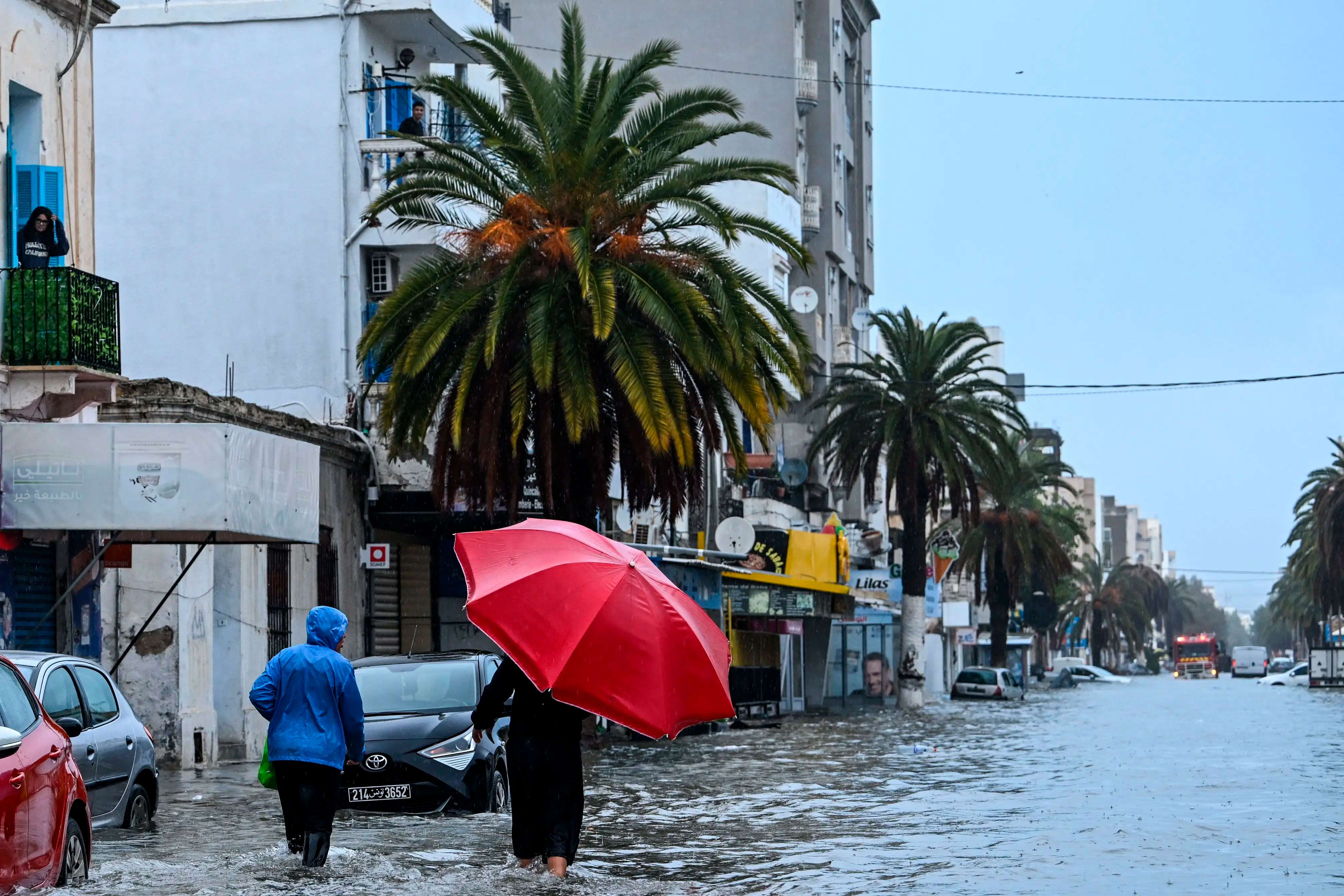 突尼斯多地遭遇强降雨 致6人死亡