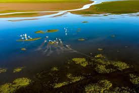 长江经济带国家级自然保护区珍稀物种保护成效显著