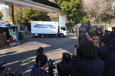 旅日大熊猫"晓晓"和"蕾蕾"踏上回国之旅