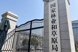 国家林草局 我国竹产业年产值超5200亿元