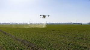 各地分类施策促冬小麦弱苗转壮