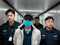 公安机关从南非引渡一名经济犯罪嫌疑人 涉案金额4900余万元