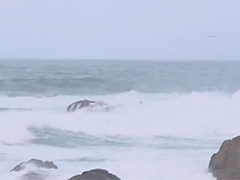 风暴"克里斯廷"余威未了 西班牙多地遭遇极端天气考验