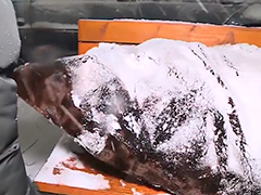 罗马尼亚布加勒斯特遭遇强风雪