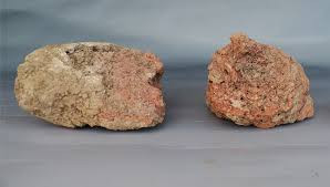 中國(guó)社會(huì)科學(xué)院 "2025年中國(guó)考古新成果"今天發(fā)布