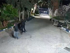 约旦河西岸 巴勒斯坦人供水站遭犹太定居者破坏