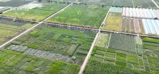 种业振兴“五年见成效”目标顺利完成