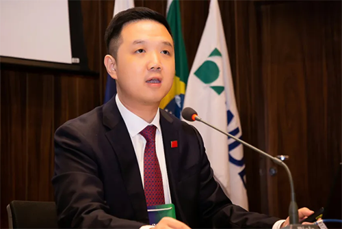 联合国成立"人工智能问题独立国际科学小组" 两位中国科学家当选