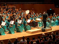 中国春节民族音乐会在杜塞尔多夫举行