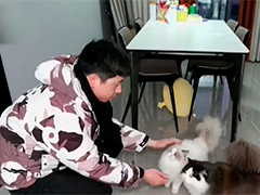 春节宠物寄养火爆 私人定制上门喂养 宠物托管师受青睐