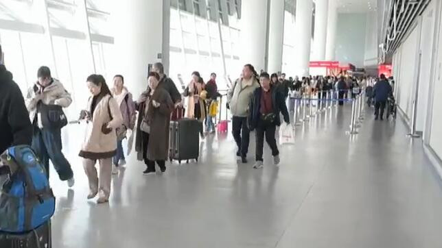 上海口岸春节假期进出境旅客超113万人次