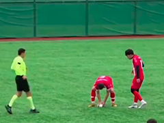 海鸥飞过球场被球击中 球员做心肺复苏成功救活