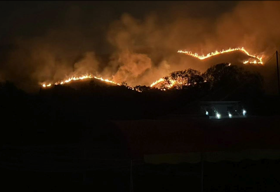 香港粉岭坪峰附近山火已经扑灭