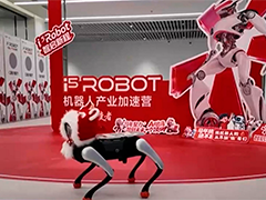 【新春走基层】青春逐梦 智创未来