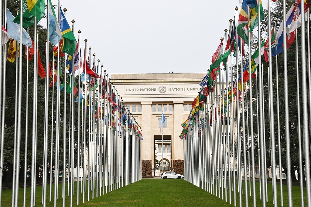 日内瓦"全球治理之友小组"正式成立