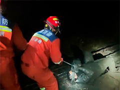 男子"捡螃蟹"身陷淤泥 消防救援脱险