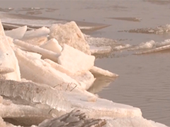 开河形势总体平稳 呈现"文开河"特征