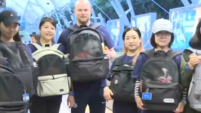 港铁首次允许宠物狗搭乘重铁网络