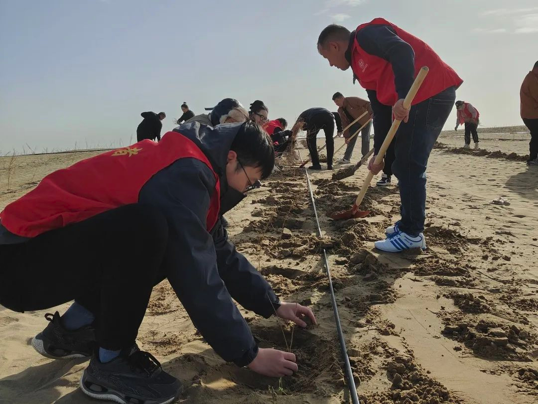 2026年大学生志愿服务西部计划报名开启