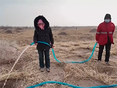 甘肃 沙漠腹地忙植树 万亩梭梭迎春风