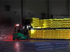 开足马力 全力保供"粮食的粮食"