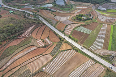 冬小麦春管进展顺利 科技助力高质高效