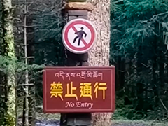 野游风险被低估 警惕"小白徒步"谎言