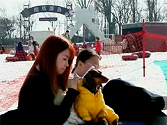 "宠"出来的消费新场景 宠物经济成为新亮点