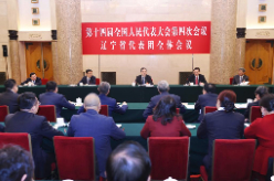 丁薛祥参加辽宁代表团审议