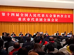 重庆代表团开放团组活动正在举行