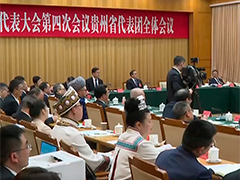 贵州代表团开放团组活动正在进行