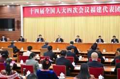 李希参加福建代表团审议