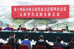 李强参加云南代表团审议
