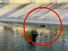 女子不慎落水 冰冷水流中民警施救