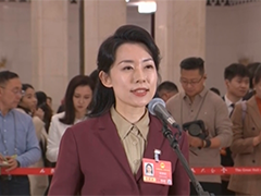 全国人大代表 陆晓琳 "一带一路"为民营企业走出去带来机遇