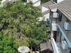 "十五五"城市更新 这项部署与你直接相关