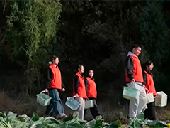 【新闻特写】"00后"的种菜班