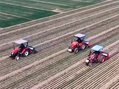 【在希望的田野上】冬小麦田间管理全面展开