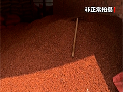 为色泽鲜亮 八角被商户反复"打硫磺"